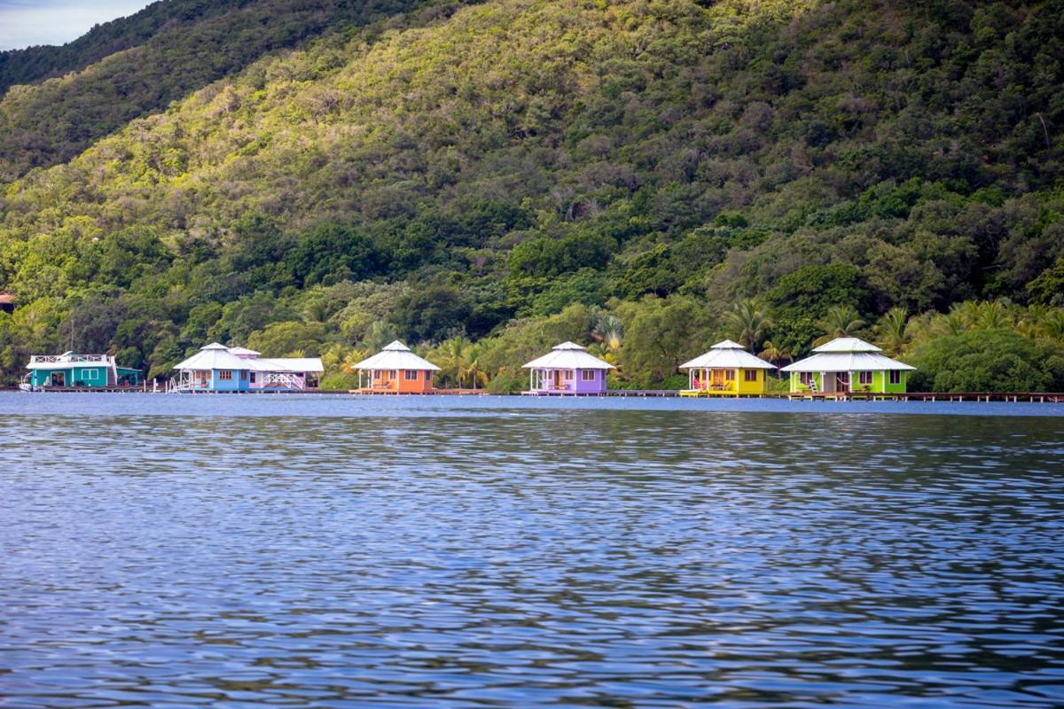 Mango Creek Lodge Port Royal Екстер'єр фото