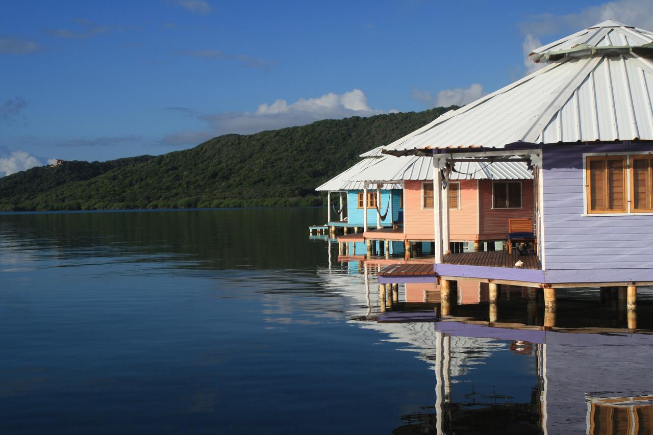 Mango Creek Lodge Port Royal Екстер'єр фото