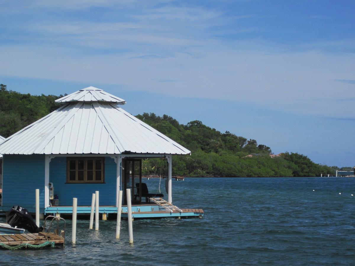Mango Creek Lodge Port Royal Екстер'єр фото
