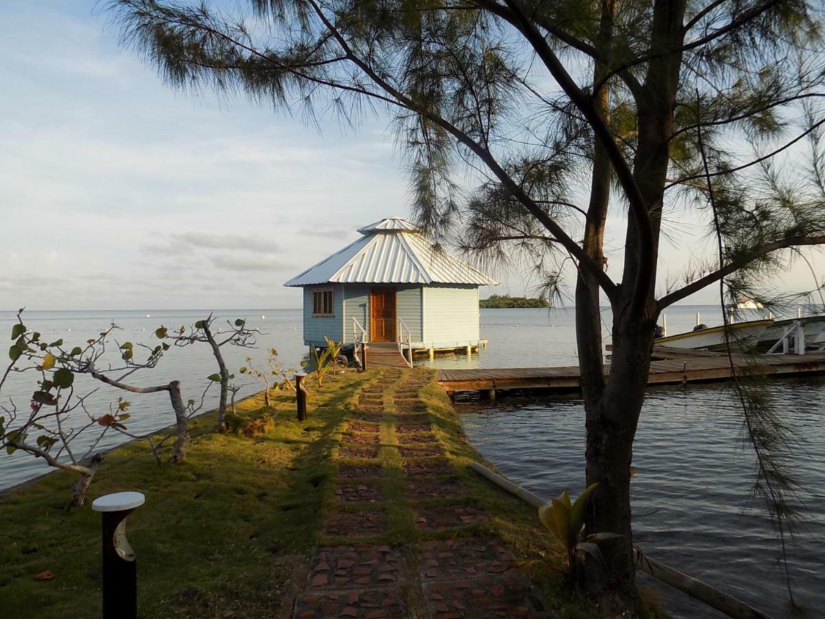 Mango Creek Lodge Port Royal Екстер'єр фото