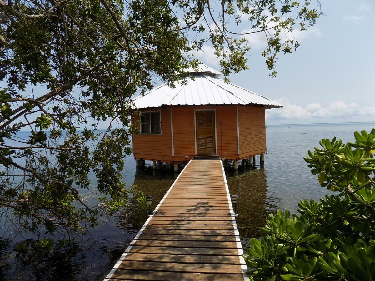 Mango Creek Lodge Port Royal Екстер'єр фото